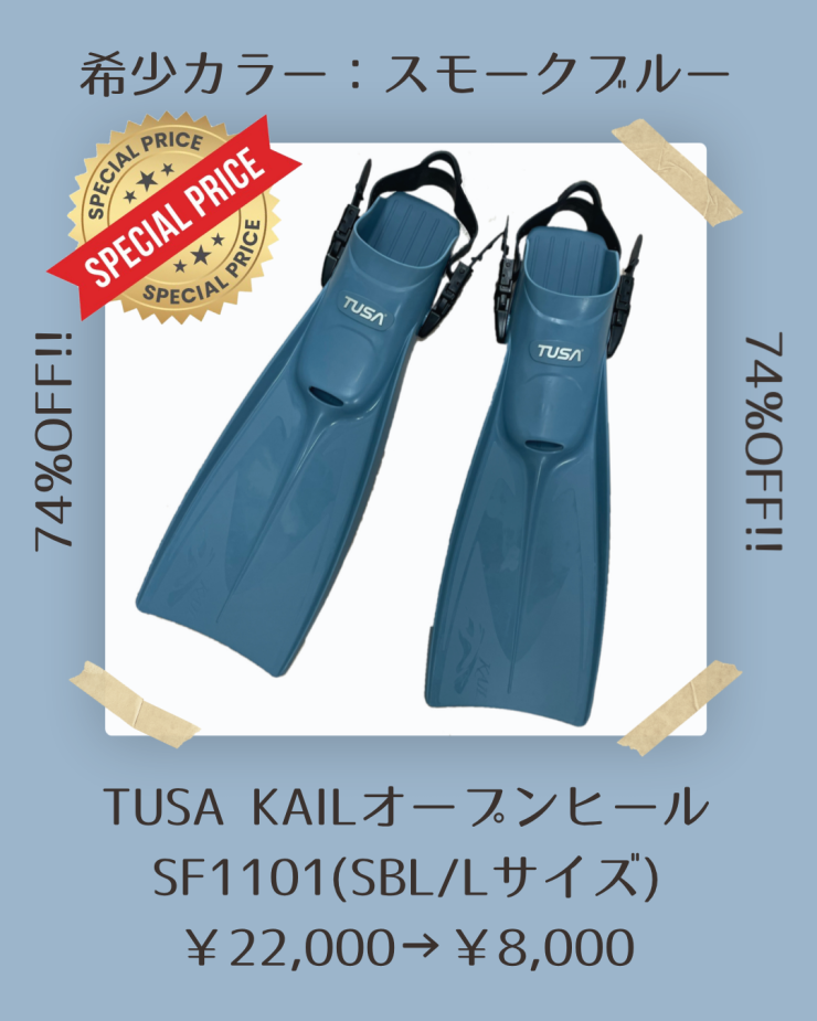 希少カラー スモークブルー.png
